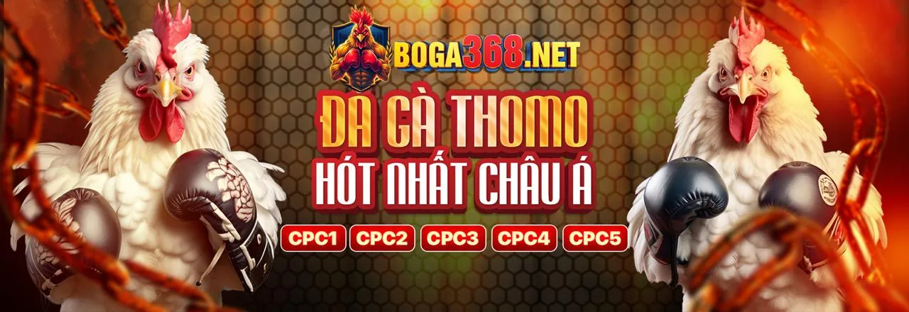 Đá Gà Trực Tuyến ho88 link vào 2026